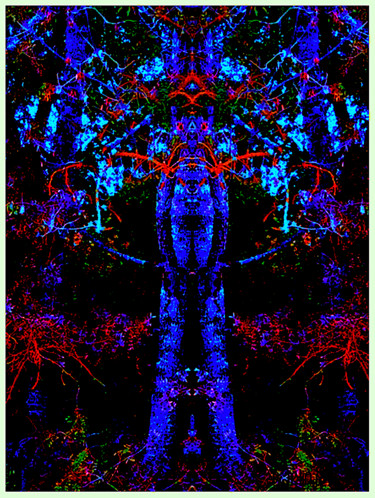 Tree Man 2