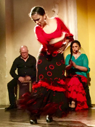 Danse Flamenca