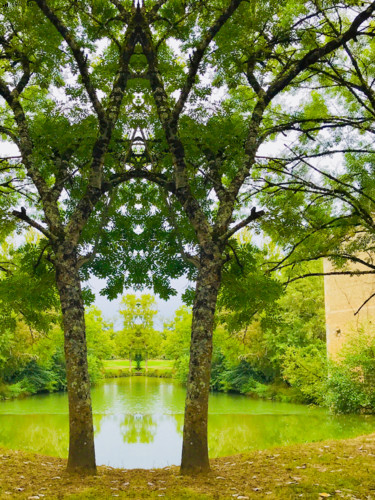 L’Appel de la Forêt