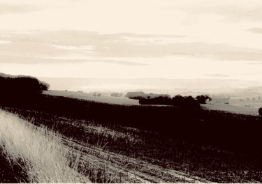 Landscape/ Photographie Art Contemporain